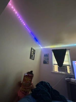 Af96b8aeeadae489c80e4e881ae34ae73u.png